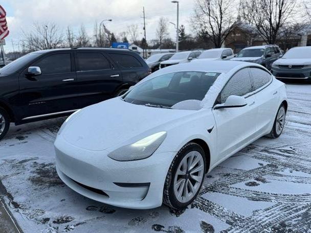 TESLA MODEL 3 2023 5YJ3E1EA9PF571486 image